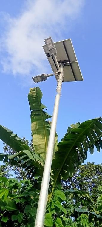 দুই বাতির সোলার স্ট্রিট লাইট