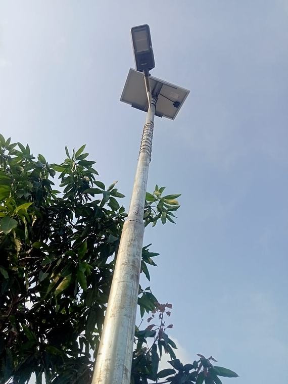 গাছের পাশে সোলার স্ট্রিট লাইট